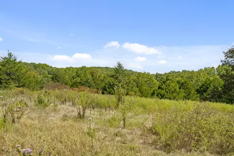 3508 Reno Hollow Rd, Spokane, MO 65754 photo 5