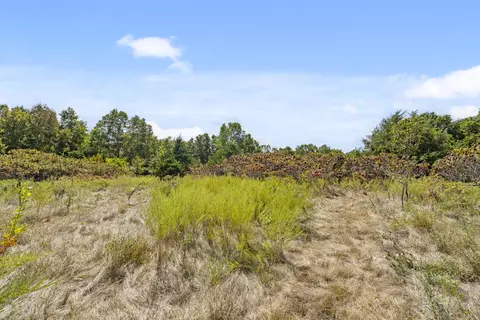 3508 Reno Hollow Rd, Spokane, MO 65754 photo 4