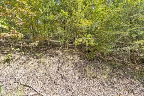3508 Reno Hollow Rd, Spokane, MO 65754 photo 10