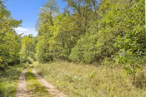 3508 Reno Hollow Rd, Spokane, MO 65754 photo 3