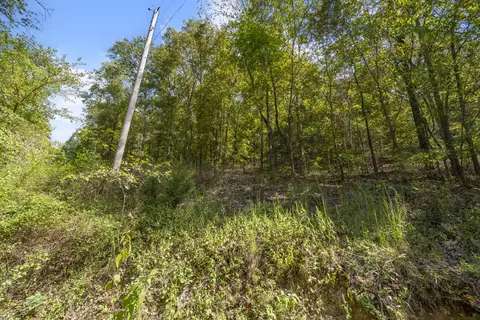3508 Reno Hollow Rd, Spokane, MO 65754 photo 11