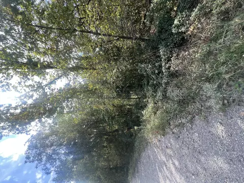 000 Old Luthy Rd, Niangua, MO 65713