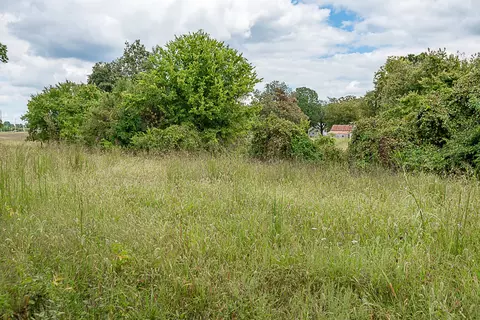 1297 N State Highway 125, Springfield, MO 65802 photo 15