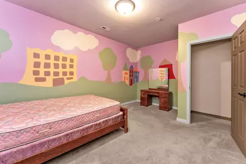 807 Gold Rush Ave, Nixa, MO 65714 photo 30