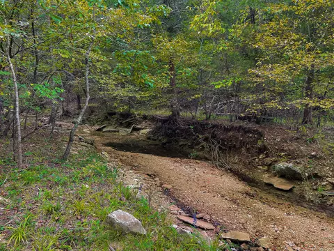 000 Cedar Blf, Saddlebrooke, MO 65630 photo 4