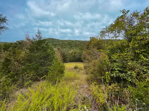 000 Cedar Blf, Saddlebrooke, MO 65630 photo 25