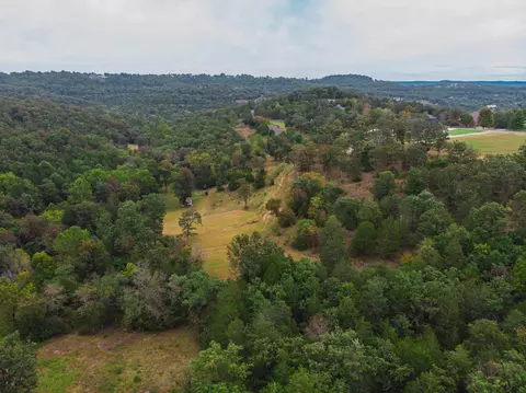 000 Cedar Blf, Saddlebrooke, MO 65630 photo 15