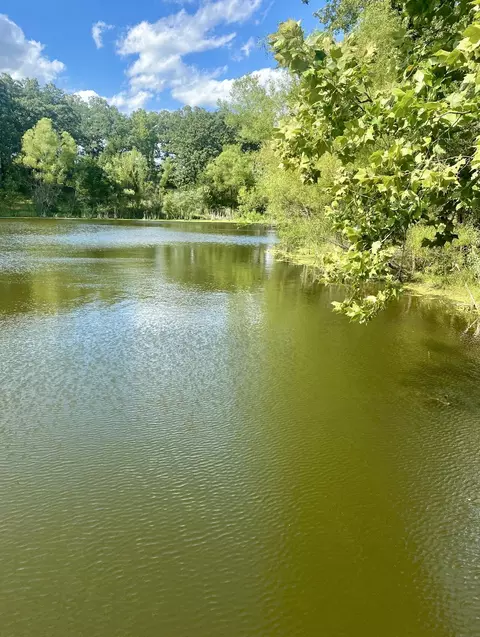 547 Rusty Rd, Marshfield, MO 65706 photo 8