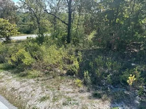 lot205 Black Forest Ln, Branson West, MO 65737