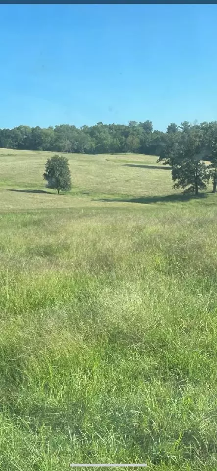 000 State Highway 181, Tecumseh, MO 65760 photo 34