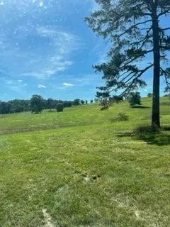000 State Highway 181, Tecumseh, MO 65760 photo 32