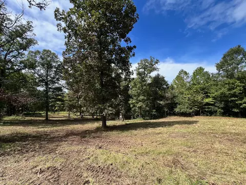 000 Rainbow Valley Trl, Mammoth Spring, AR 72554