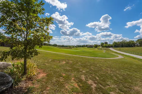 103 Long Dr, Republic, MO 65738 photo 40