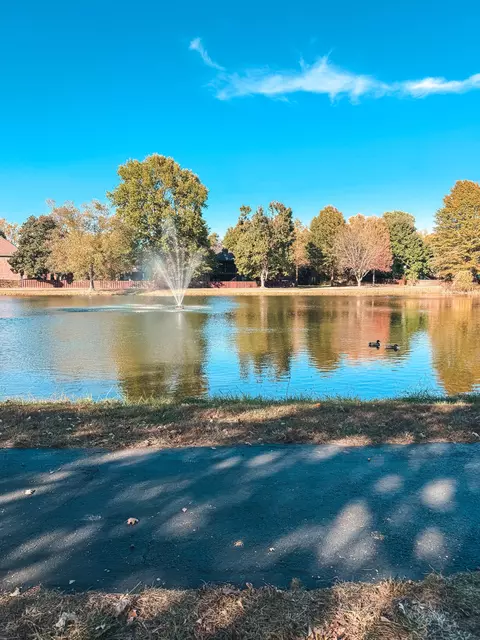 705 W Laverne Dr, Nixa, MO 65714 photo 78