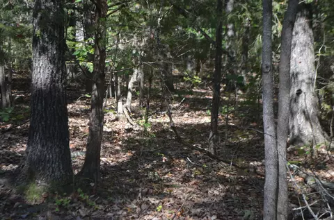 lot26 2 26-3 High View Cir, Bruner, MO 65620 photo 8