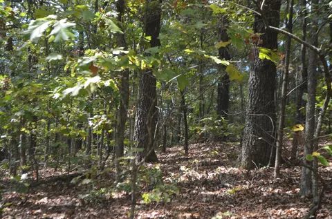 lot26 2 26-3 High View Cir, Bruner, MO 65620 photo 11