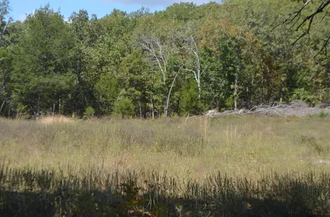 lot26 2 26-3 High View Cir, Bruner, MO 65620 photo 7