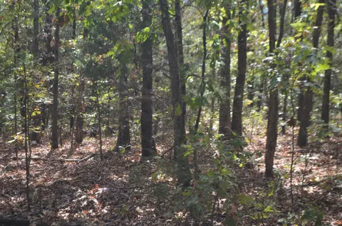 lot26 2 26-3 High View Cir, Bruner, MO 65620 photo 10