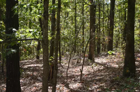 lot26 2 26-3 High View Cir, Bruner, MO 65620 photo 9
