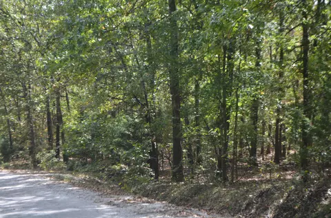 lot26 2 26-3 High View Cir, Bruner, MO 65620 photo 12