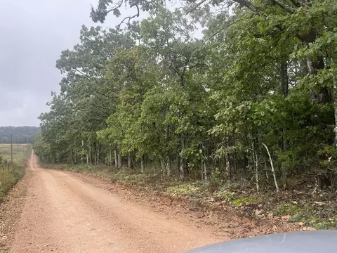 tbd County Road 3540, Mountain View, MO 65548 photo 6