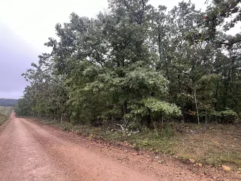 tbd County Road 3540, Mountain View, MO 65548 photo 5