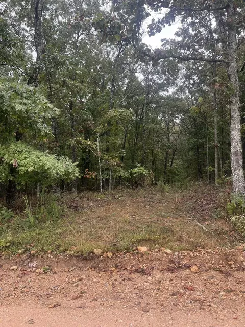 tbd County Road 3540, Mountain View, MO 65548 photo 3