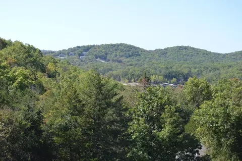 View/Area - 25 Chickadee Dr #3, Branson, MO 65616 photo 1 of 1