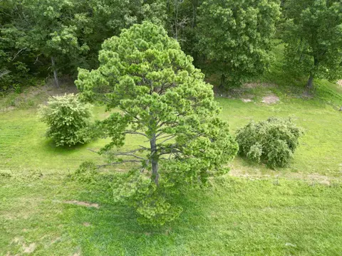 7808 State Route T, Birch Tree, MO 65438 photo 56