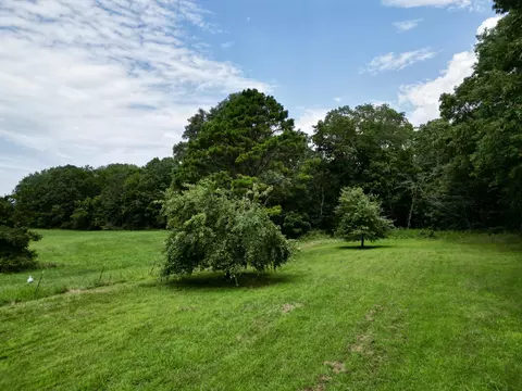 7808 State Route T, Birch Tree, MO 65438 photo 57