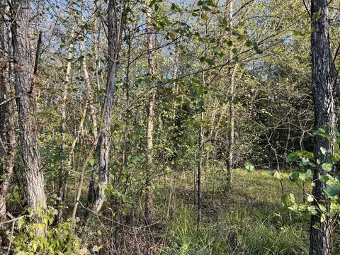 277 Brian Rd, Bourbon, MO 65441 photo 6