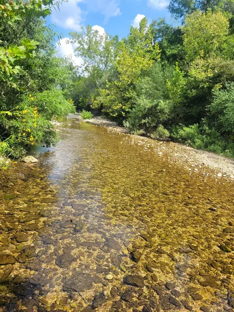 Other - tbd County Road 950, Squires, MO 65755 photo 3 of 14