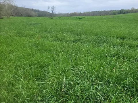Other - tbd County Road 950, Squires, MO 65755 photo 6 of 14