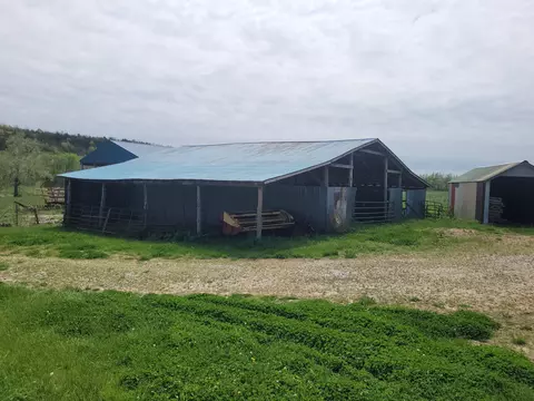 Exterior - tbd County Road 950, Squires, MO 65755 photo 5 of 6