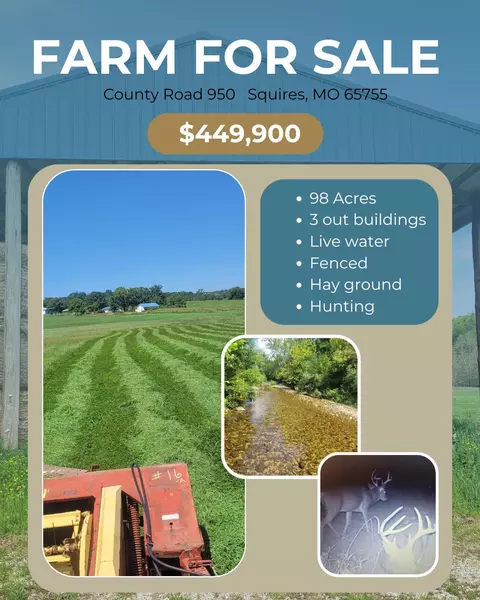tbd County Road 950, Squires, MO 65755