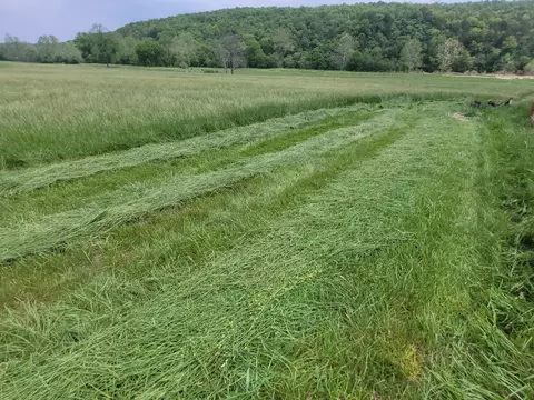 Other - tbd County Road 950, Squires, MO 65755 photo 11 of 14