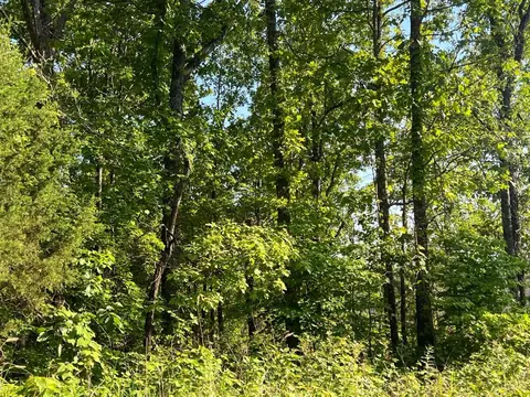 tbd County Road 553a, Gainesville, MO 65655 photo 12