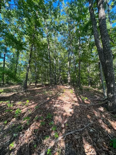 tbd County Road 553a, Gainesville, MO 65655 photo 11