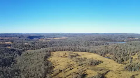 tbd County Road 553a, Gainesville, MO 65655 photo 3