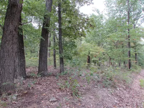 tbd County Road 553a, Gainesville, MO 65655 photo 23