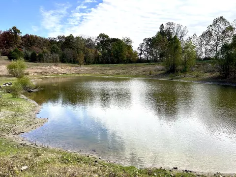 610 Mining Land Dr, Mansfield, MO 65704 photo 35