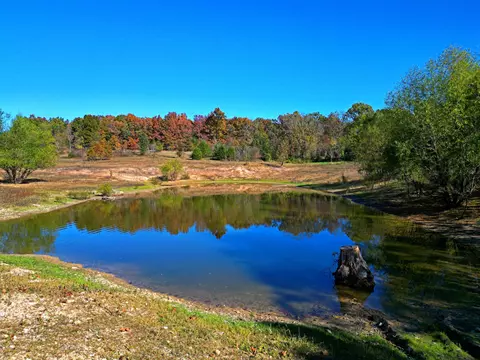 610 Mining Land Dr, Mansfield, MO 65704 photo 6