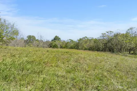 tbd Wise Hill Rd, Clever, MO 65631 photo 5