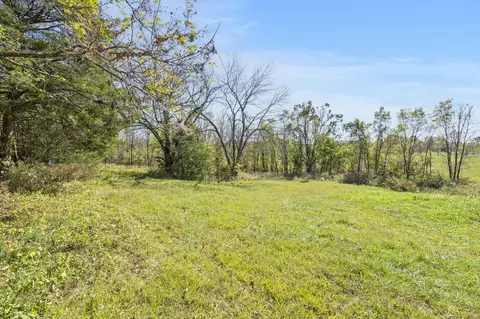 tbd Wise Hill Rd, Clever, MO 65631 photo 6