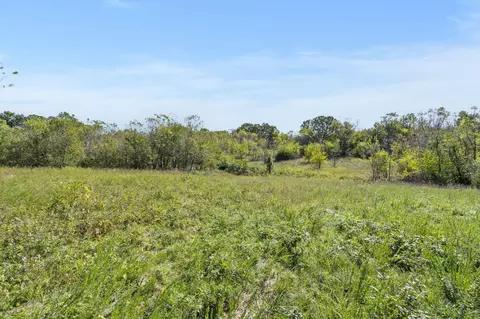 tbd Wise Hill Rd, Clever, MO 65631 photo 4