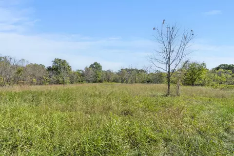 tbd Wise Hill Rd, Clever, MO 65631 photo 3