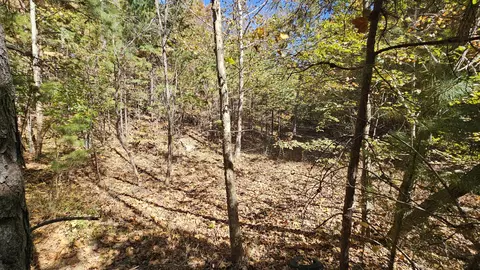 29903 E State Highway 14, Ava, MO 65608 photo 70