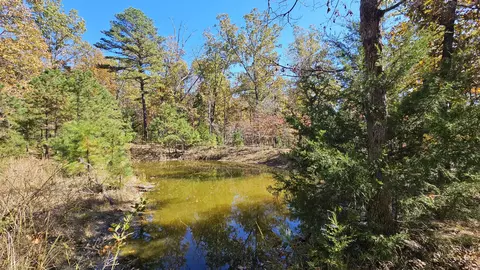 29903 E State Highway 14, Ava, MO 65608 photo 6
