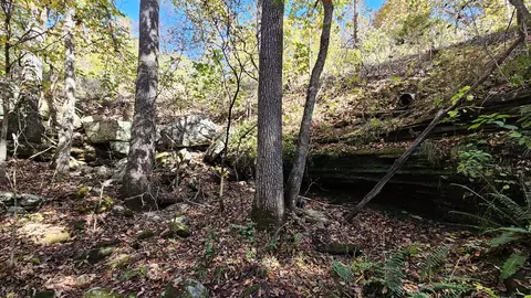 29903 E State Highway 14, Ava, MO 65608 photo 8