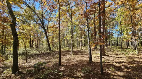 29903 E State Highway 14, Ava, MO 65608 photo 7